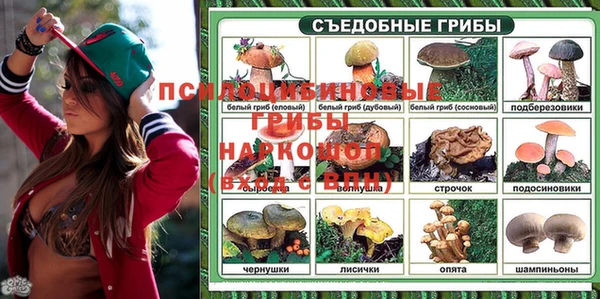 прущие крисы Мегион